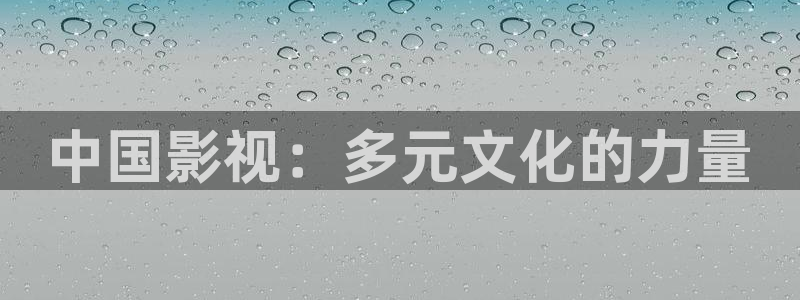 大茄子视频：中国影视：多元文化的力量