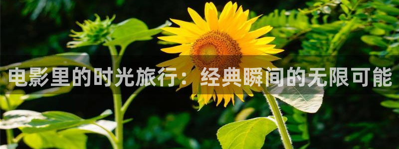 茄子视频qz