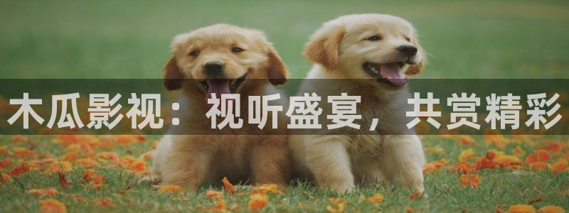 茄子视频a