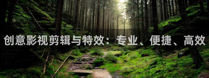 茄子视频qz